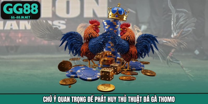 Chú ý quan trọng để phát huy thủ thuật đá gà Thomo