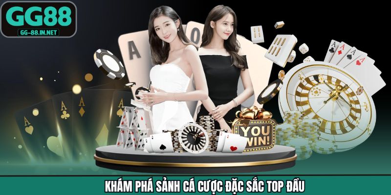 Khám phá sảnh cá cược đặc sắc top đầu