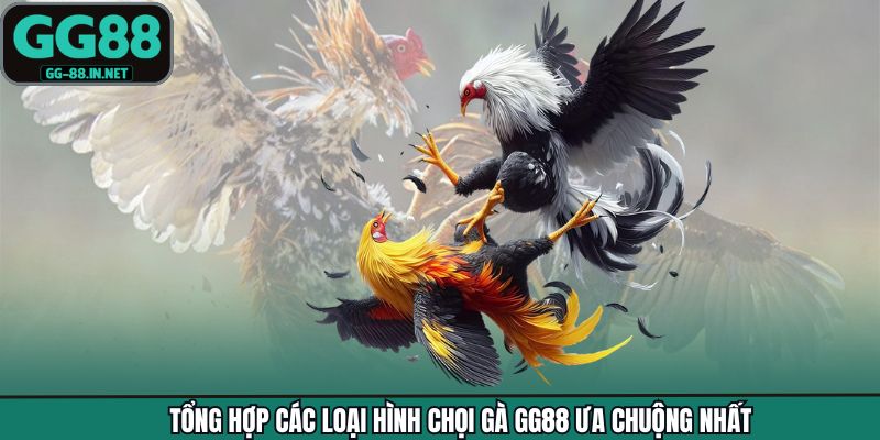 Tổng hợp các loại hình chọi gà GG88 ưa chuộng nhất
