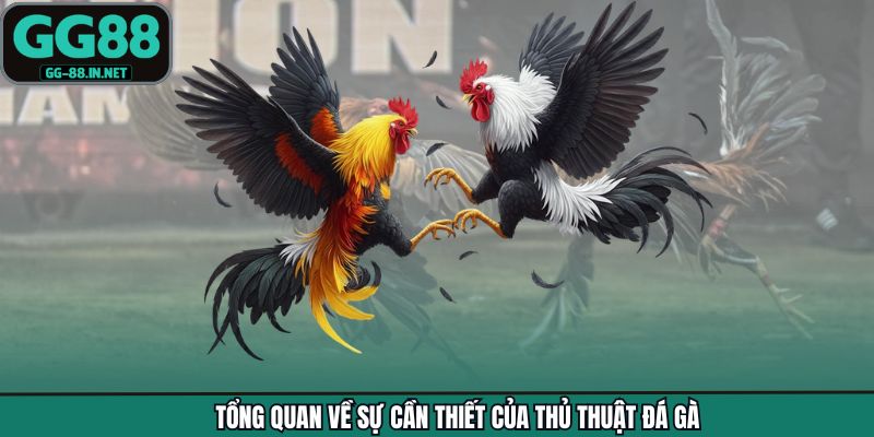 Tổng quan về sự cần thiết của thủ thuật đá gà